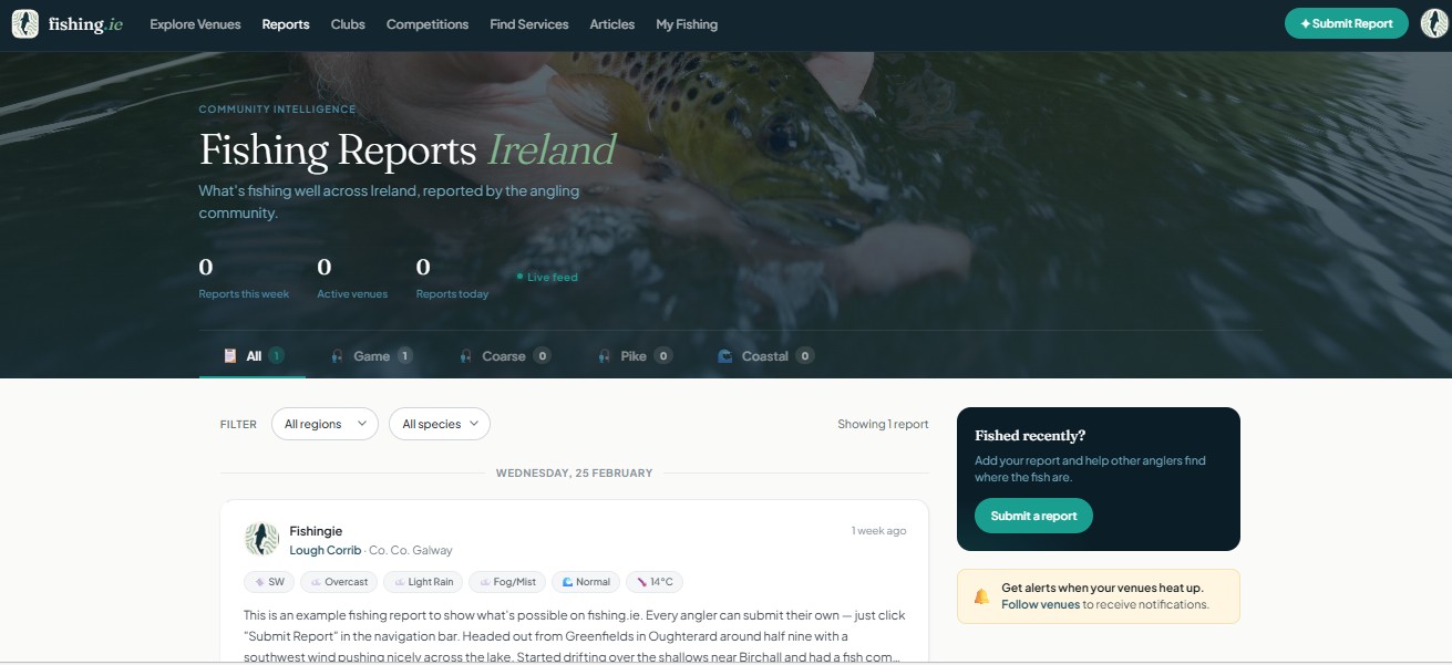 The Reports page on fishing.ie showing a live feed of fishing reports with conditions, catches, and filters