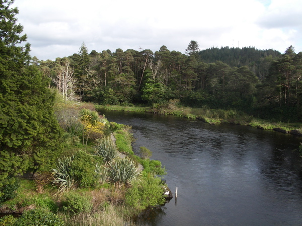 Fishing at Ballynahinch River, Co. Galway
