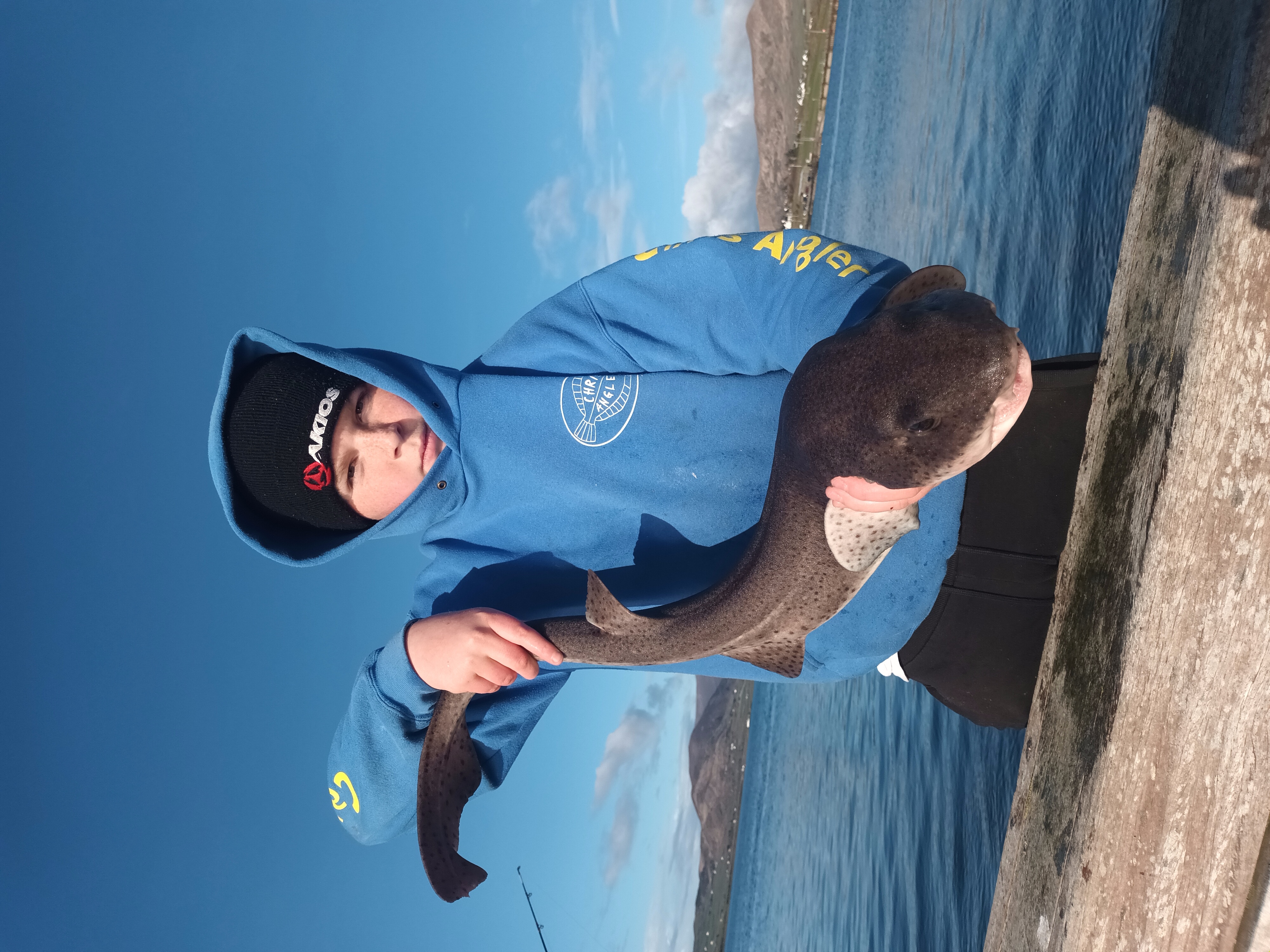 Bull huss caught from the harbour walls at Valentia Island, Kerry