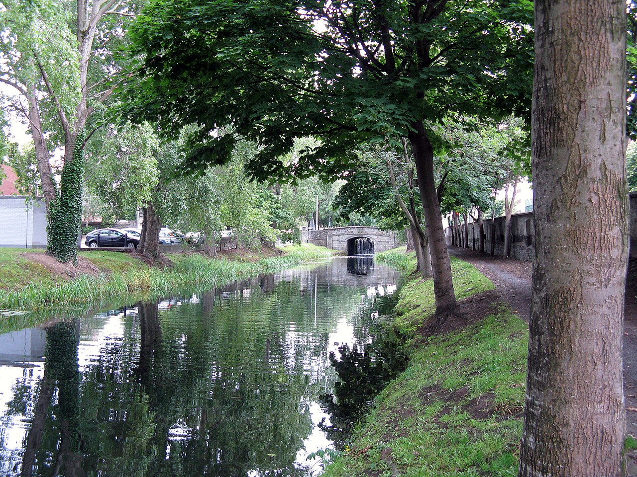 Fishing at Grand Canal, Co. Dublin