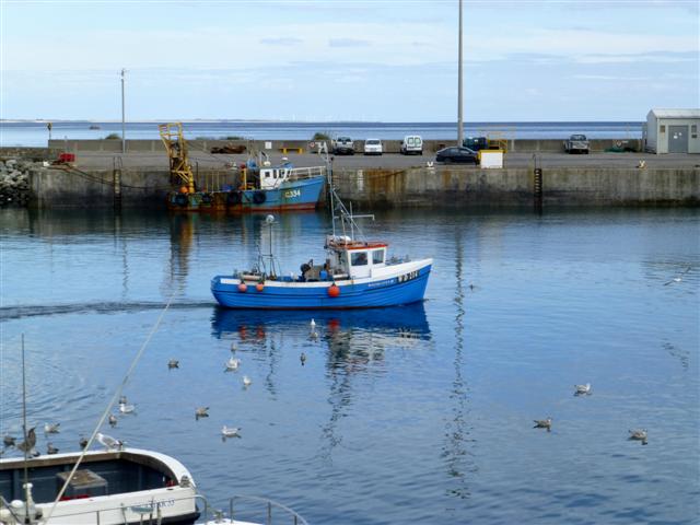 Fishing at Kilmore Quay, Co. Wexford