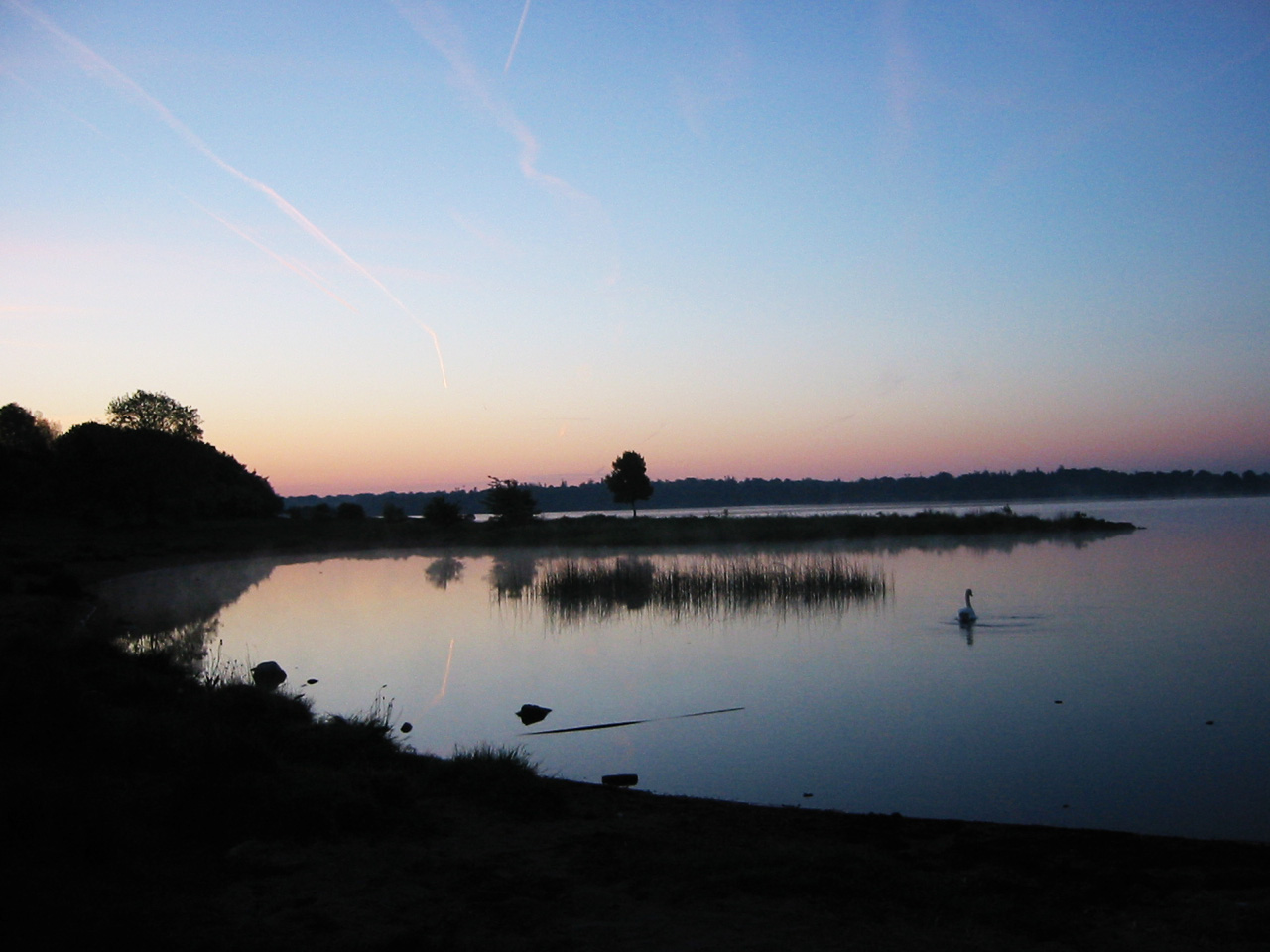 Fishing at Lough Ennell, Co. Westmeath