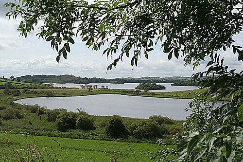 Fishing at Lough Muckno, Co. Monaghan
