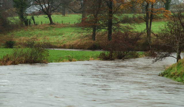 Fishing at River Bann, Co. Derry / Antrim