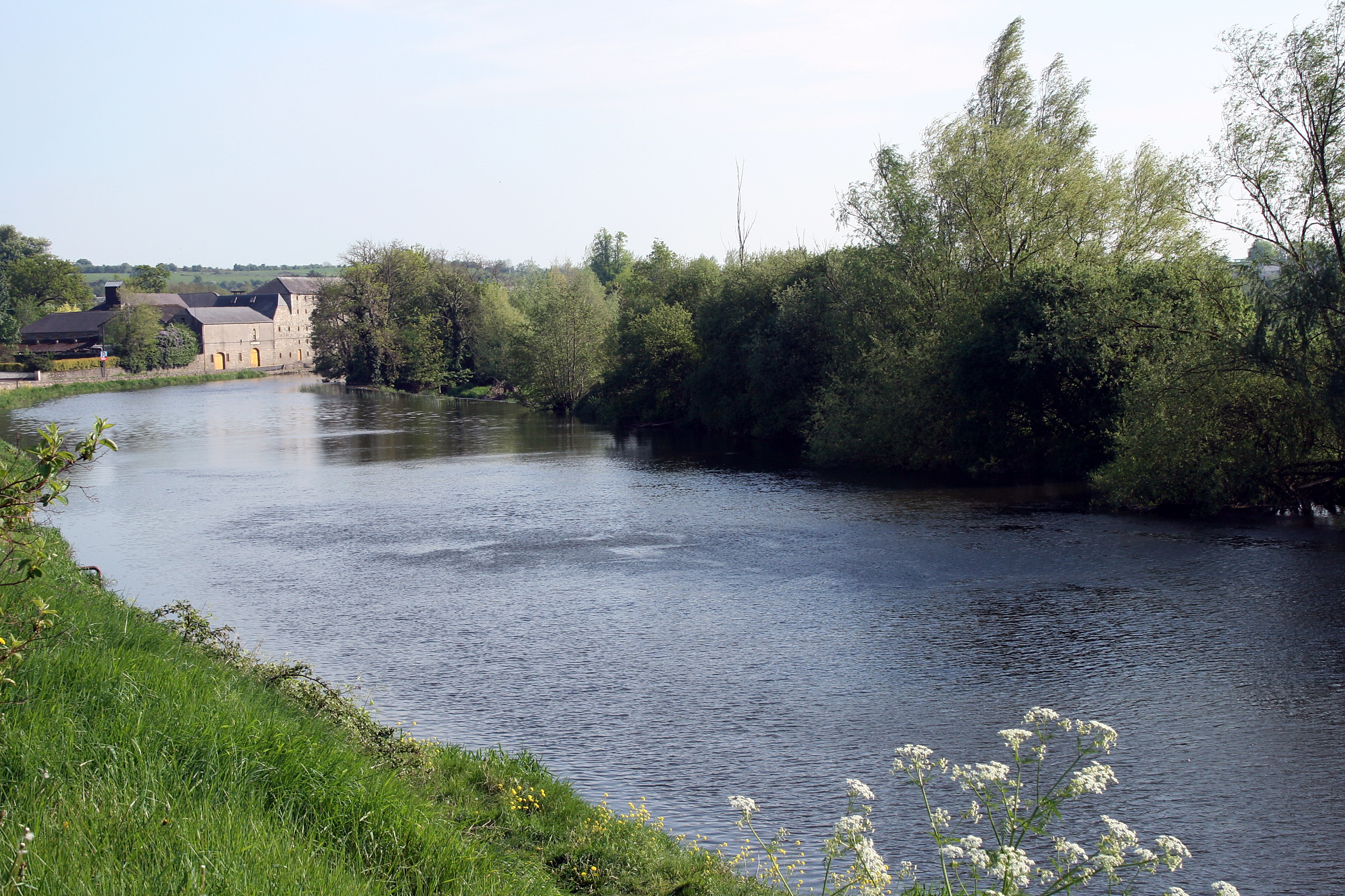 Fishing at River Barrow, Co. Carlow