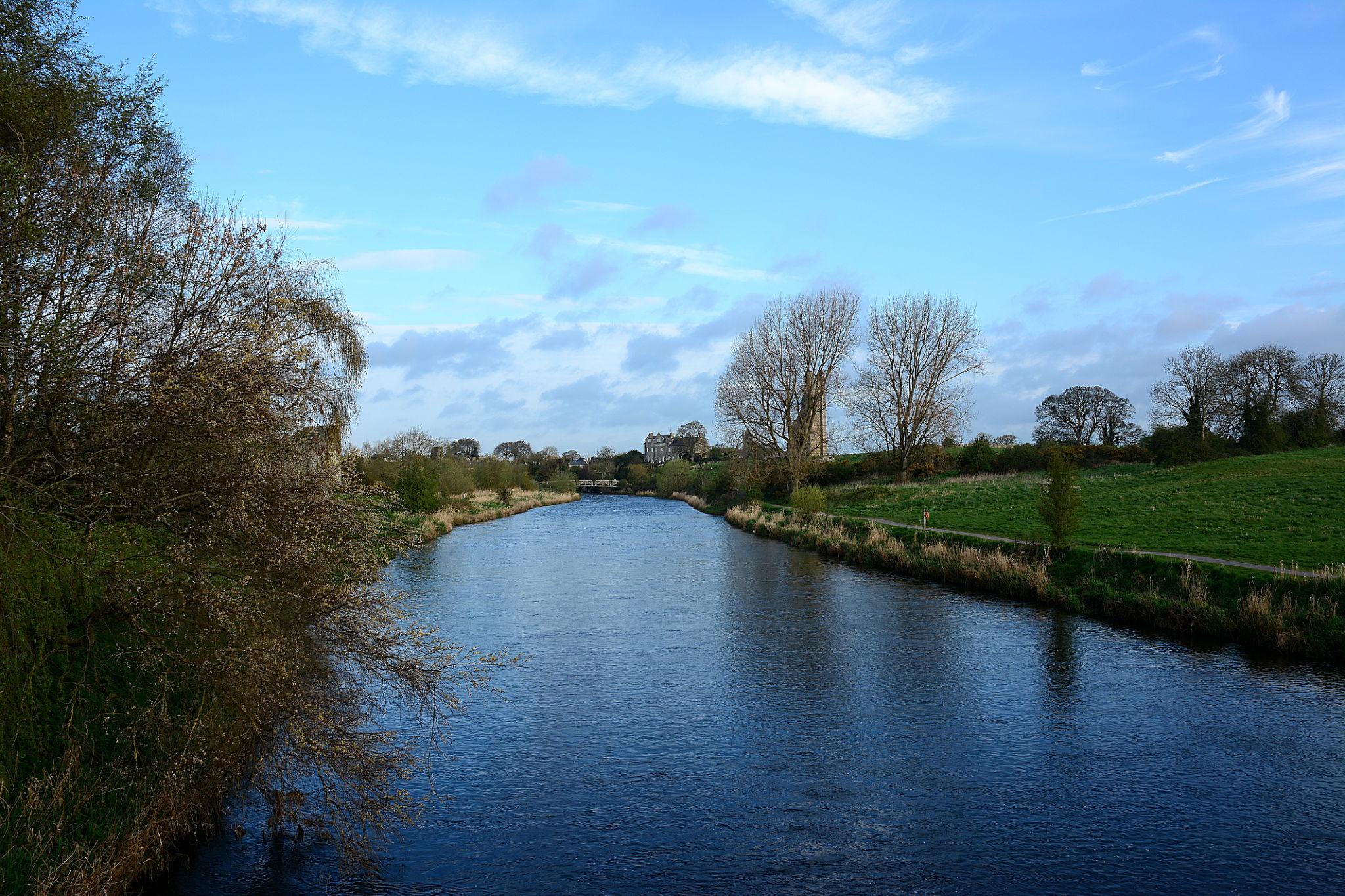 Fishing at River Boyne, Co. Meath