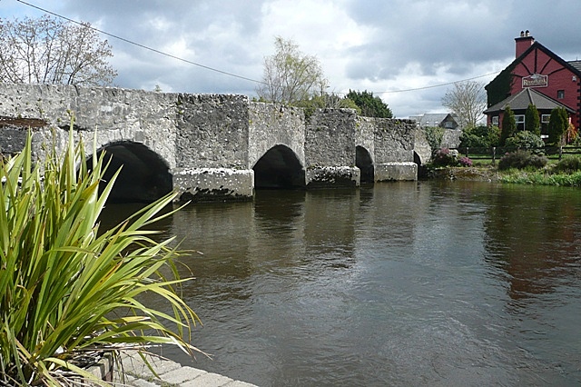 Fishing at River Brosna, Co. Westmeath
