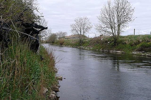 Fishing at River Clare, Co. Galway