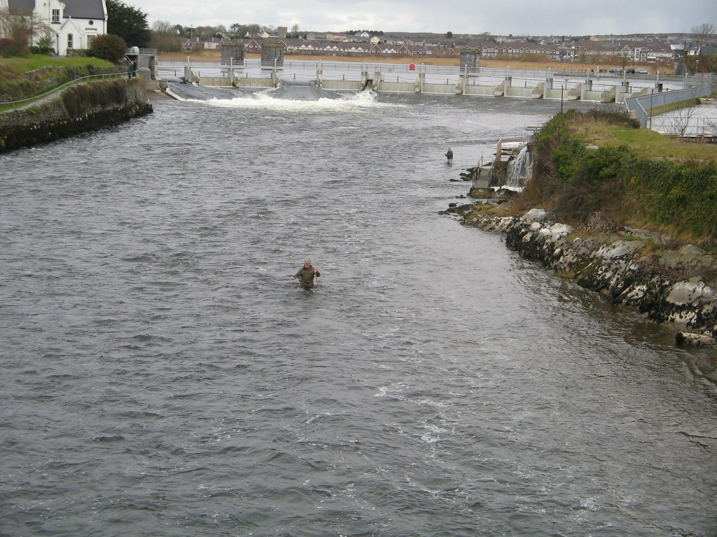 Fishing at River Corrib, Co. Galway
