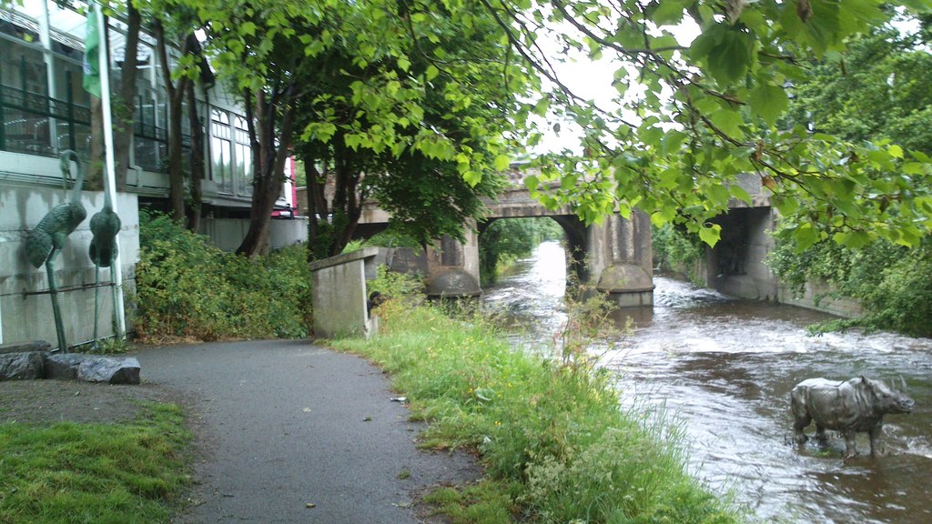 Fishing at River Dodder, Co. Dublin