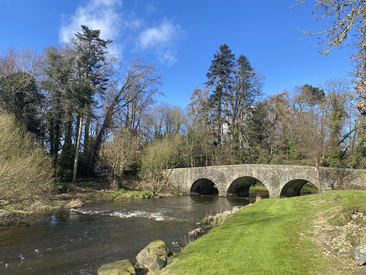 Fishing at River Lagan, Co. Armagh