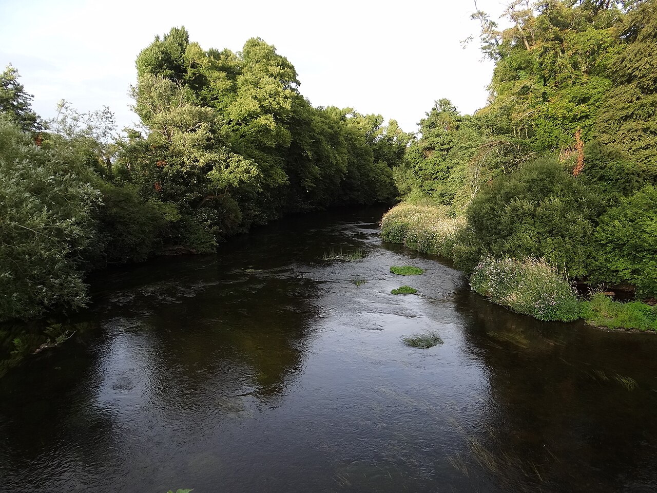 Fishing at River Liffey, Co. Kildare