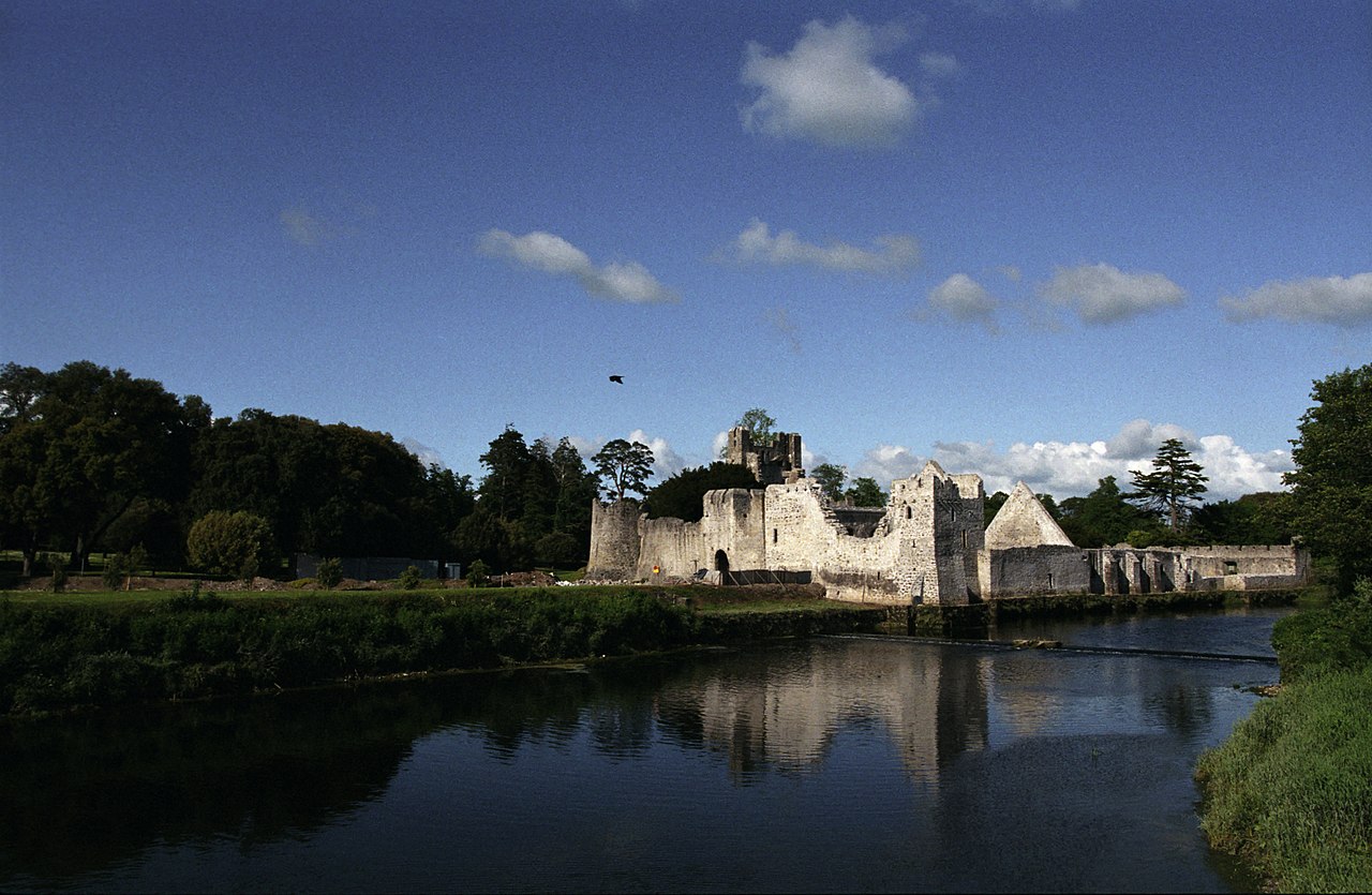 Fishing at River Maigue, Co. Limerick