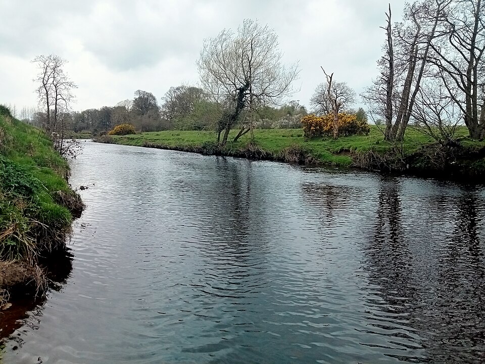Fishing at River Roe, Co. Derry