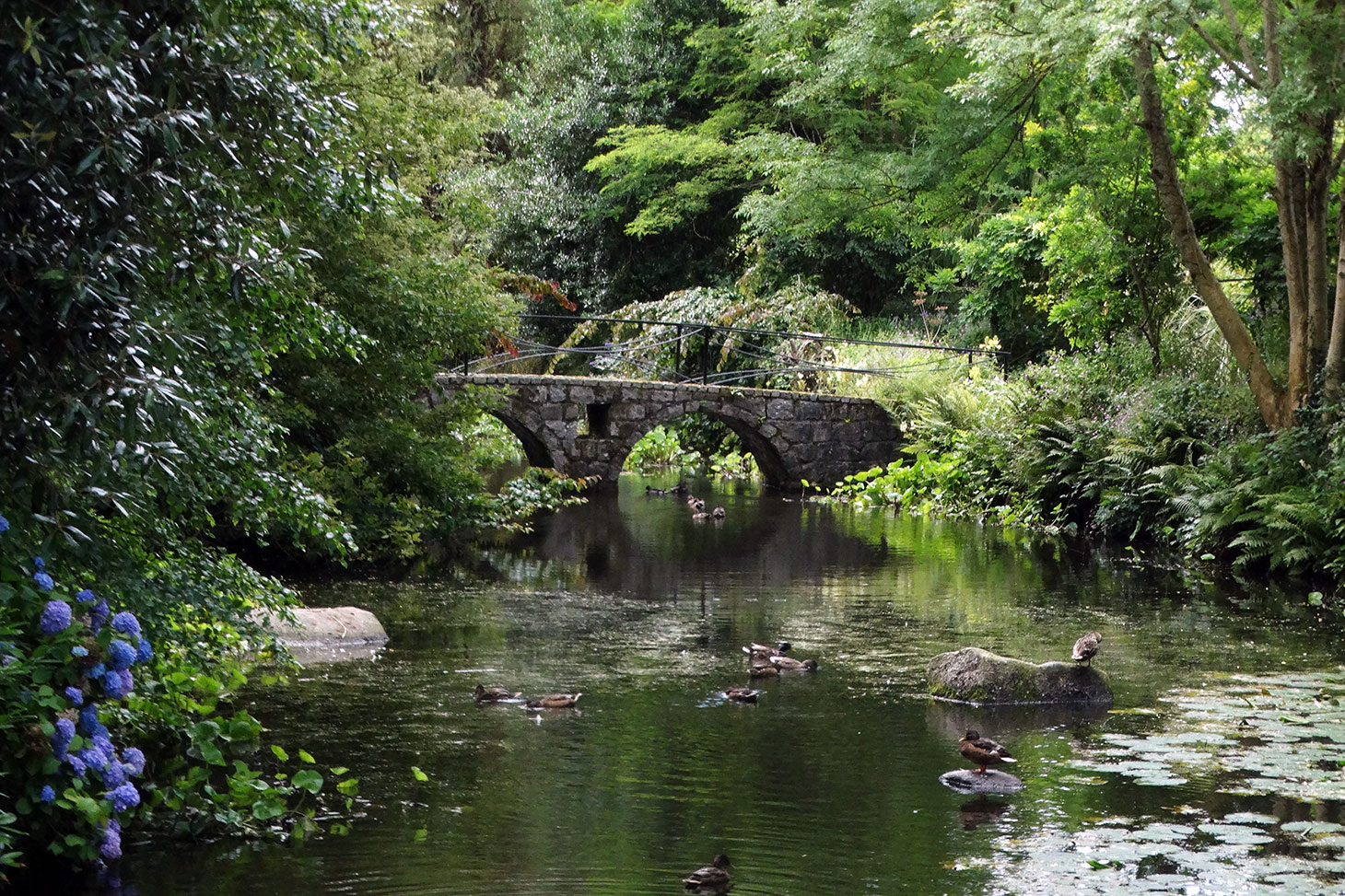 Fishing at River Slaney, Co. Wexford