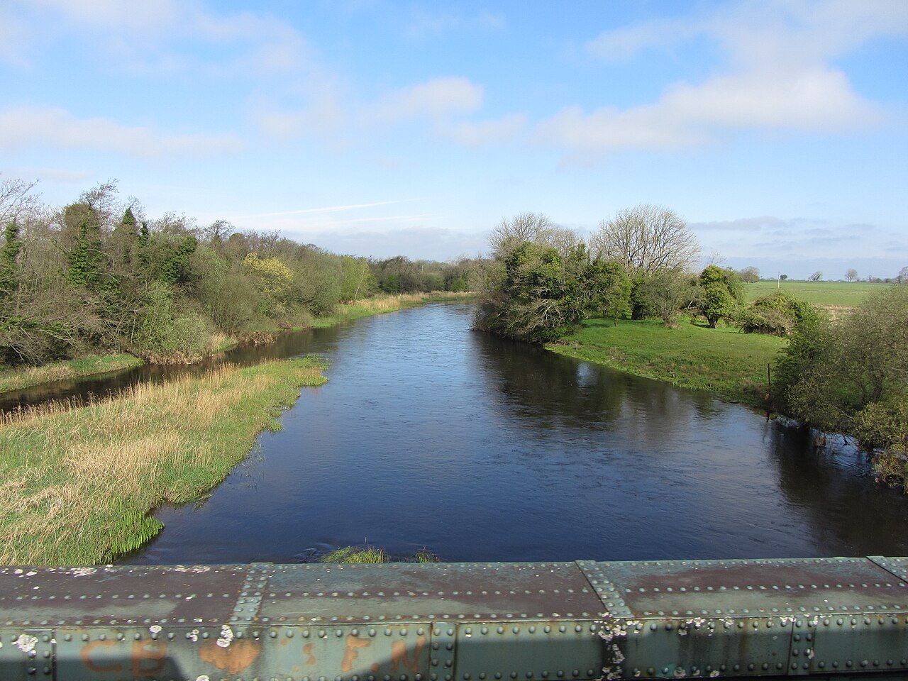 Fishing at River Suck, Co. Galway