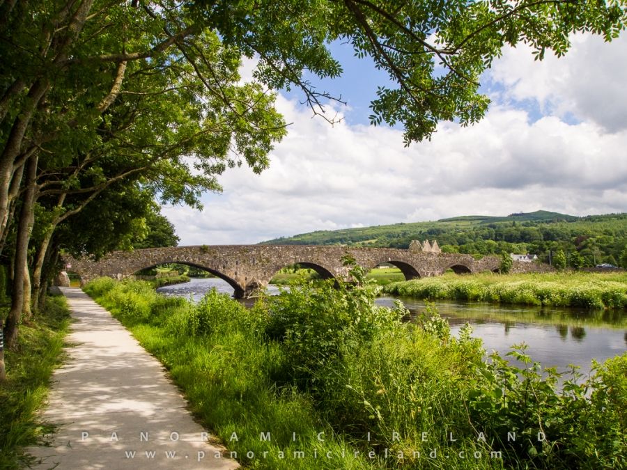 Fishing at River Suir, Co. Tipperary
