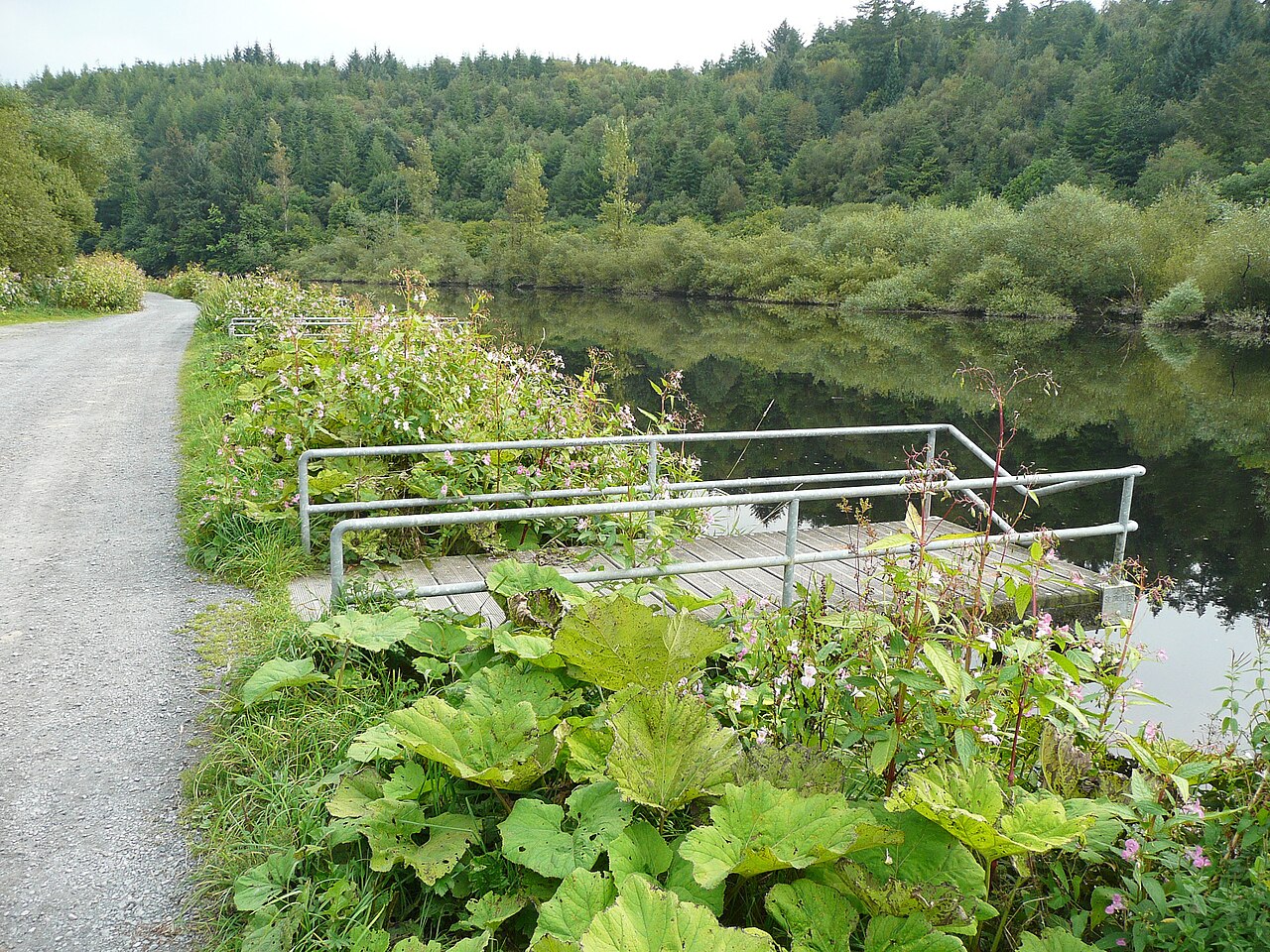 Fishing at St. Mullins, Co. Carlow