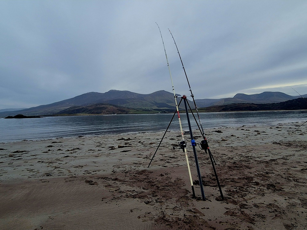 Fishing at Tralee Bay, Co. Kerry