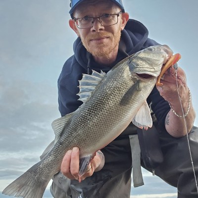Irish Bass Guide