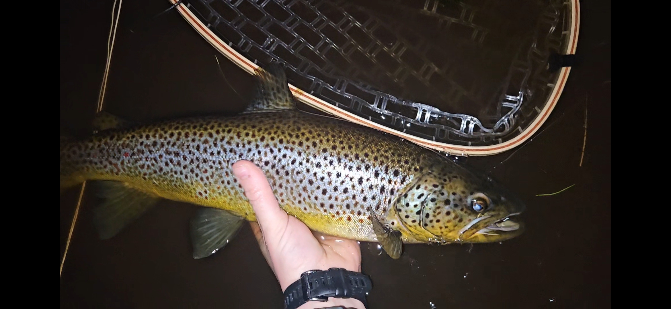 Fishing report photo from Screebe Fishery